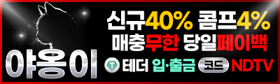 야옹이